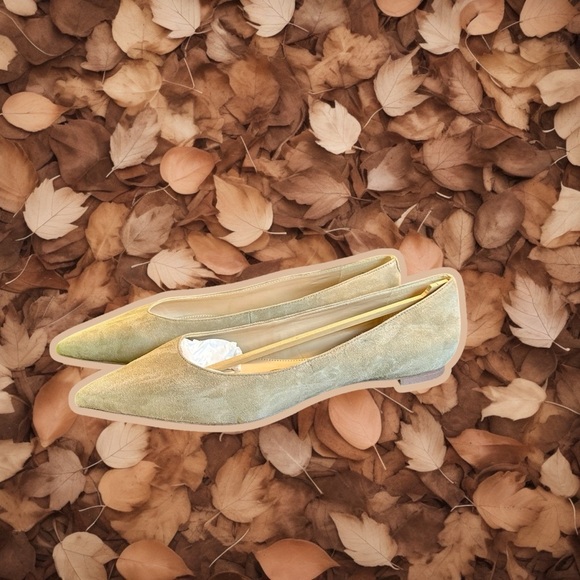 NWT Sam Edelman ‘Sally’ Pointed Toe Flats in “Oatmeal” Suede Leather Size 11 - Picture 10 of 16